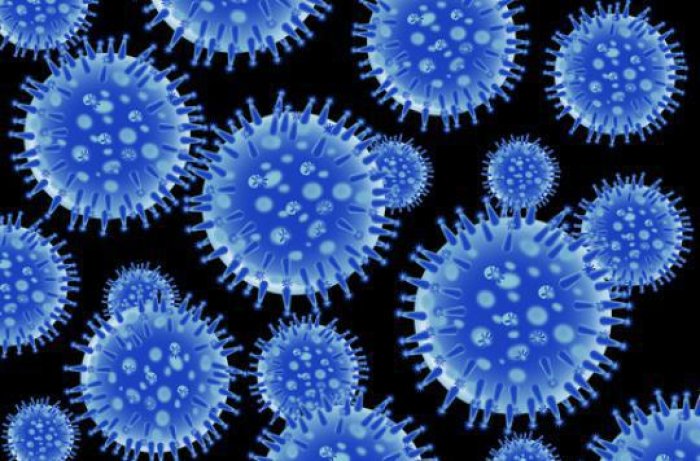 Australie : un vaccin contre la grippe créé avec l’aide de l’IA va être testé